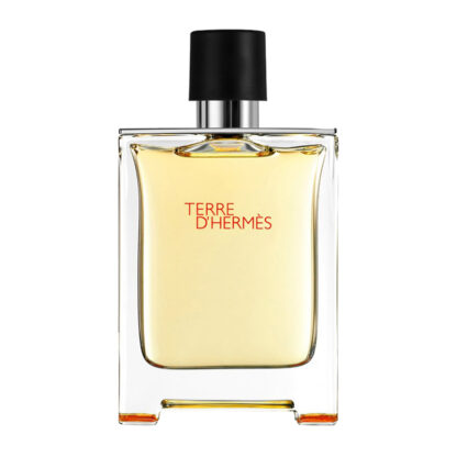 HERMES – TERRE HERMES EDT 100 ML (Scatola Neutra)