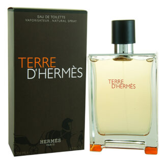 Hermès - Terre D'Hermes Eau de Toilette 100 ml