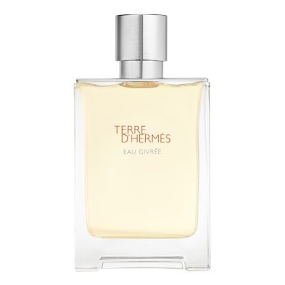 HERMES – TERRE D’ERMES EAU GIVREE EDP 100 ML (Scatola Neutra)